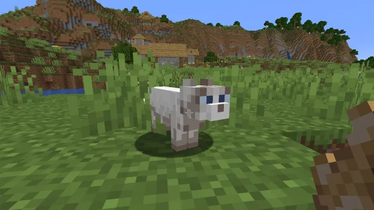 The Secret Lives of Minecraft Cats