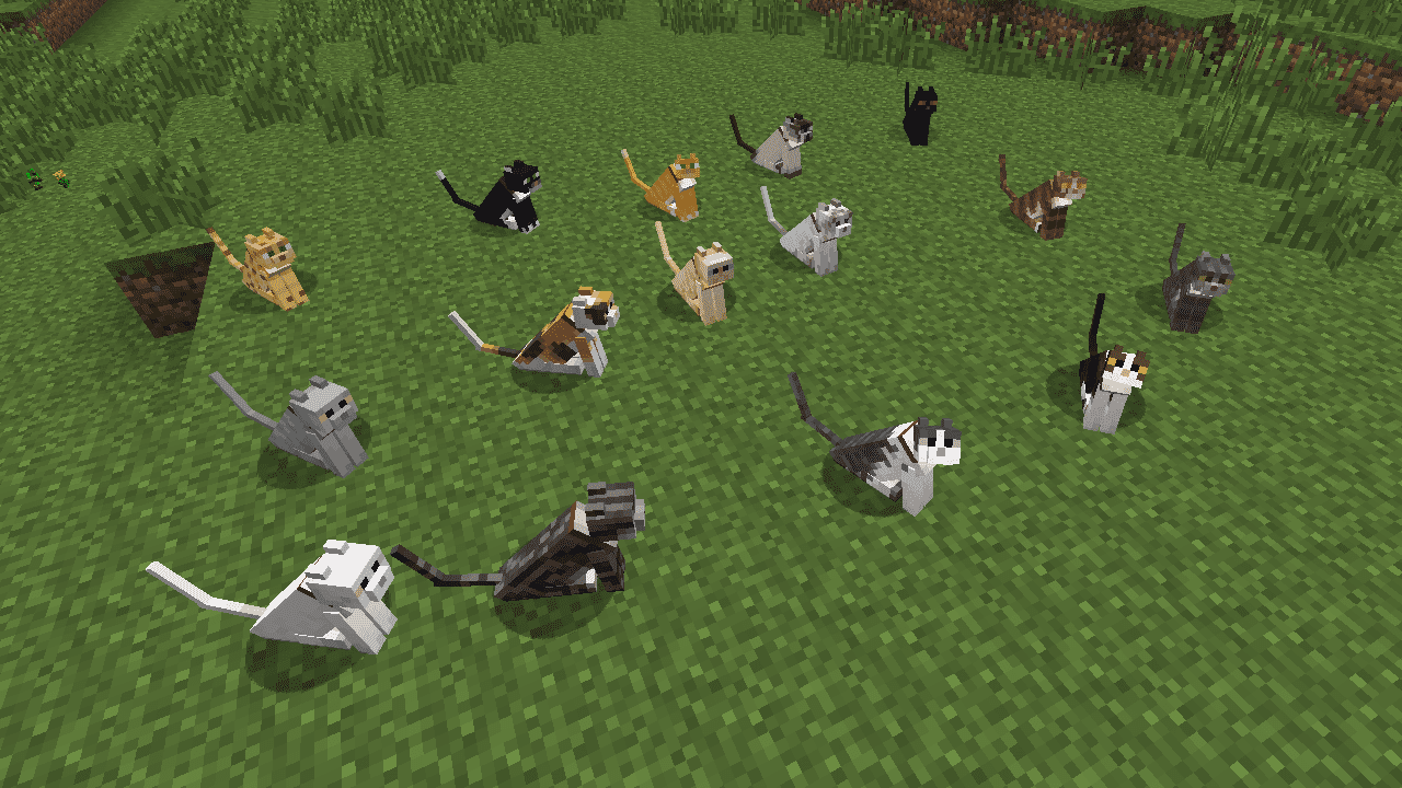 cat breeds in minecraft