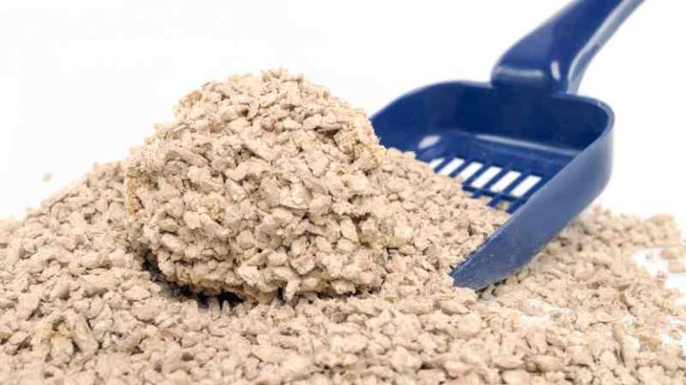 ec-friendly cat litter